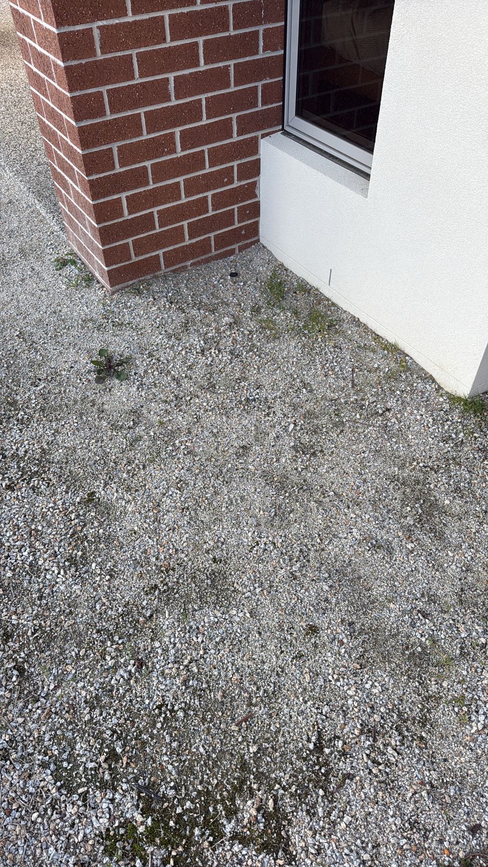 Ground falling towards the house, drawing water and termites to the slab edge, found during a pre-purchase inspection in Officer